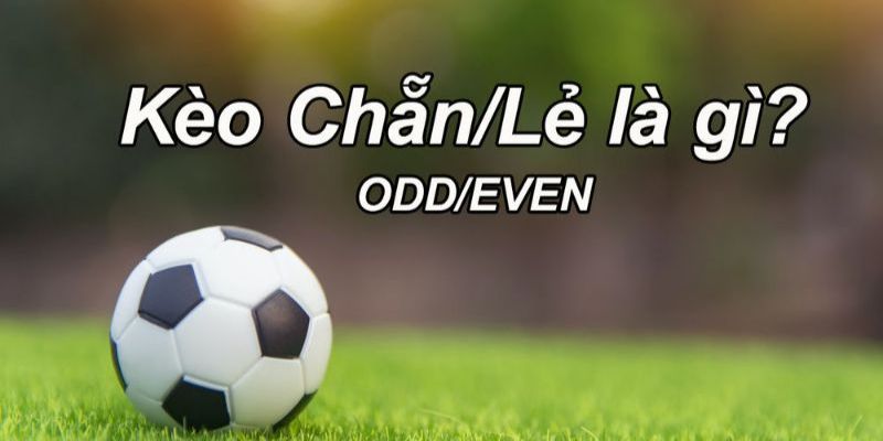 Kèo chẵn lẻ trong cược bóng là loại cược phụ rất phổ biến hiện tại